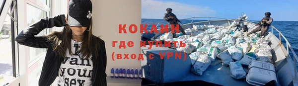 шишки Сатка
